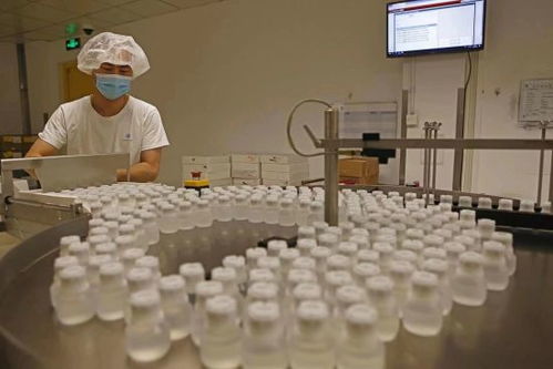 GE醫(yī)療堅(jiān)定扎根中國(guó)信心，以更大規(guī)模參展第五屆進(jìn)博會(huì)